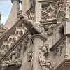 Fotografie: Wasserspeier Liebfrauenkirche Budapest