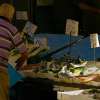 Fotografie: Fischmarkt in Neapel