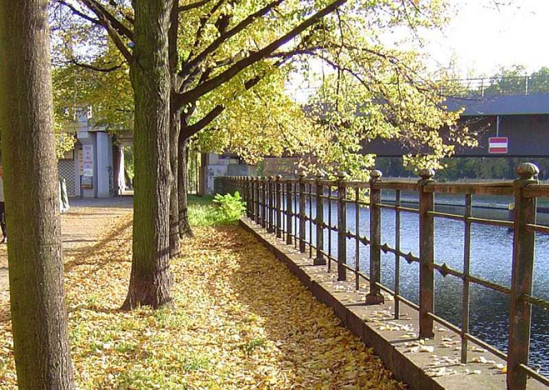 Herbststimmung am Spreeufer in Berlin