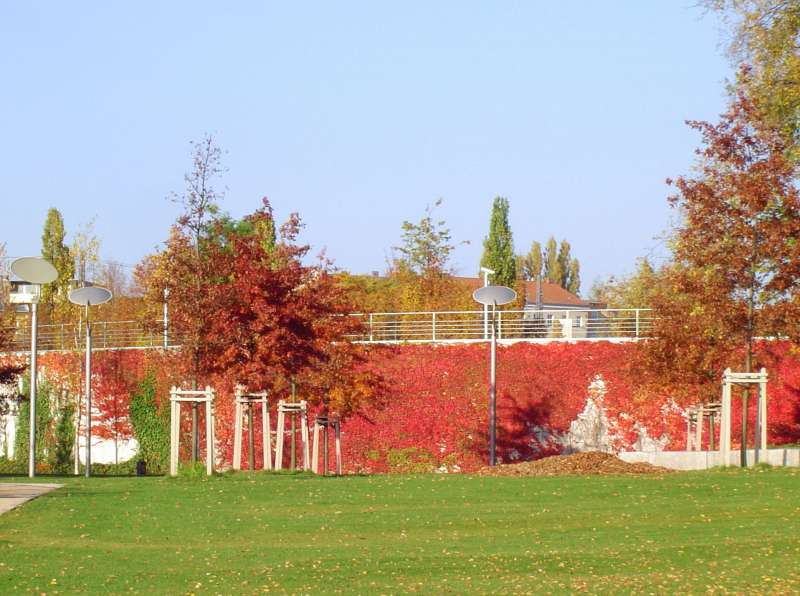 Herbstfarben am Kanzlergarten in Berlin