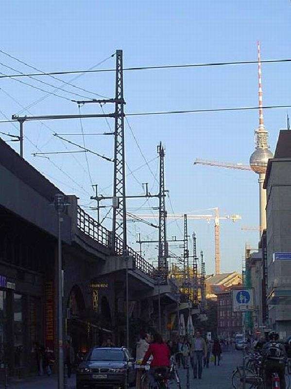 Wald aus Stahl und Beton in Berlin