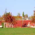 Fotografie: Herbstfarben am Kanzlergarten in Berlin