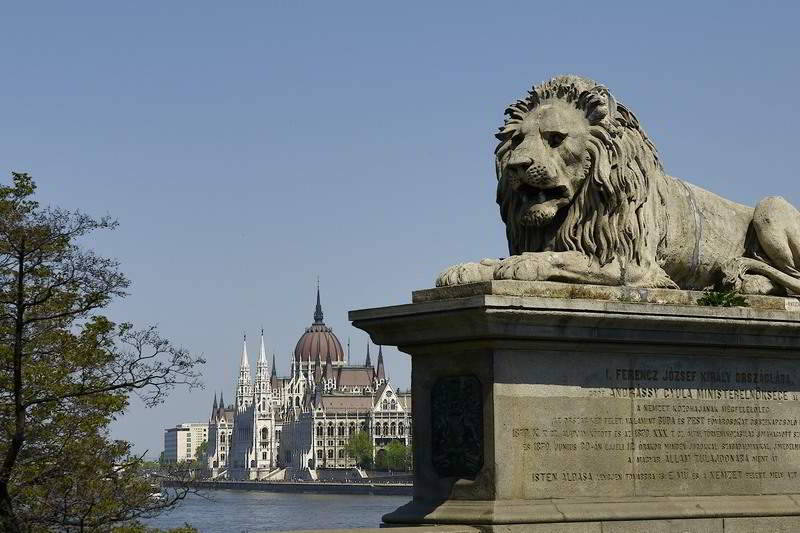 Löwe und Parlamentsgebäude Budapest