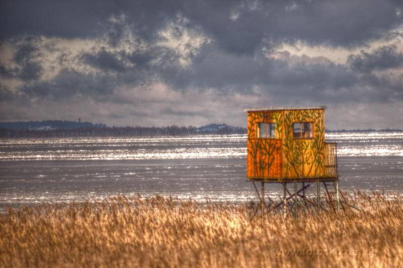 Blick in Richtung Hiddensee