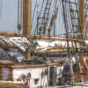 Fotografie: Großsegler im Hafen von Stralsund