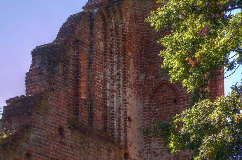 Klosterruine Eldena im Sommer