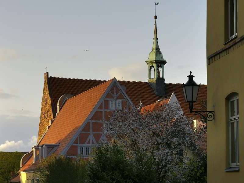 Frühling  neben dem Kloster in Wismar