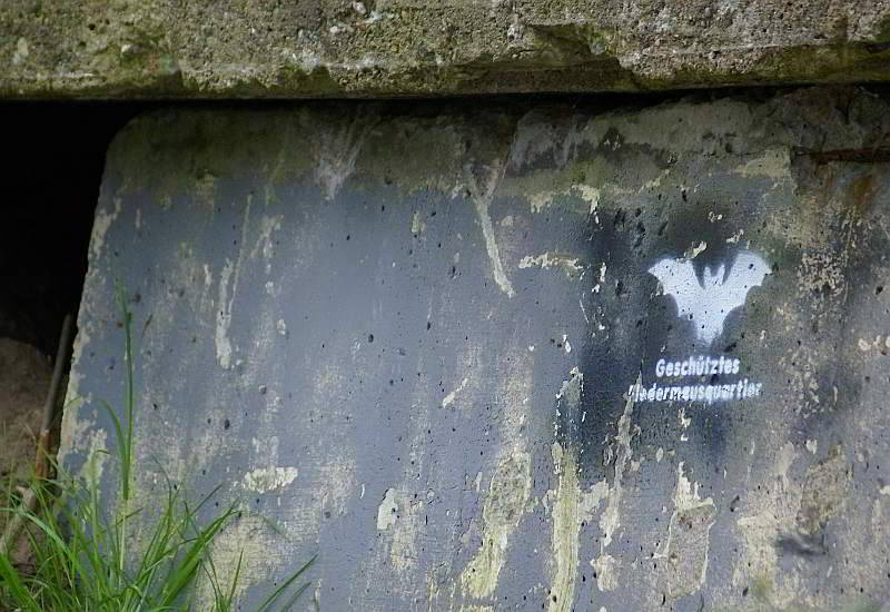 Martialisch - Fledermausquartier im KDF-Bad Prora