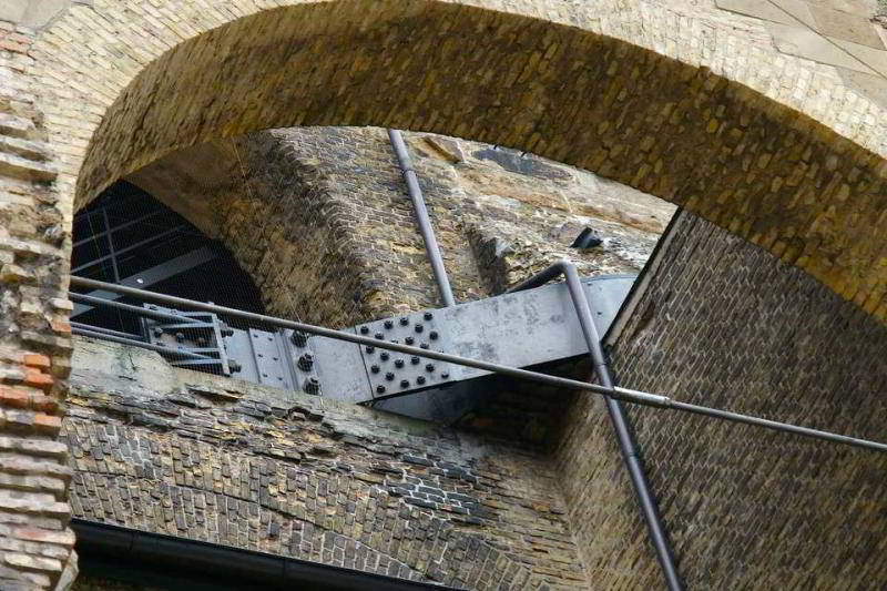 Maueranker an der Kaiser Wilhelm Gedächtniskirche Berlin