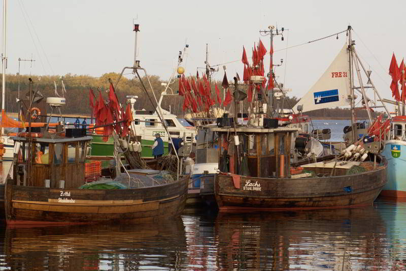 Fischerboote in Barhöft bei Stralsund