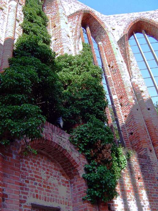 Ruine des Kichenchors Johanniskloster