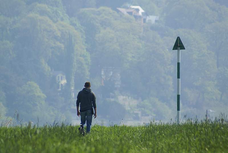 Morgendunst an der Elbe - Stillleben