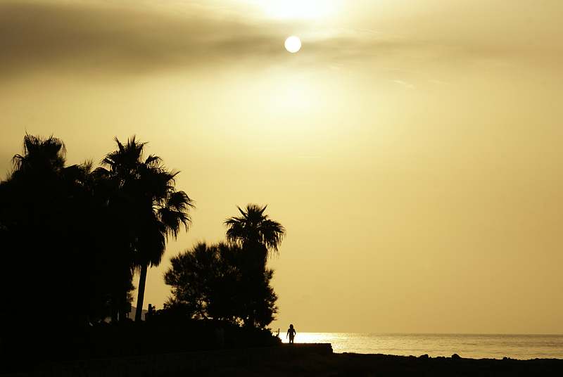 Subtropisches Morgengrau auf Mallorca