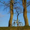 Fotografie: Parkplatz für ein Fahrrad