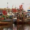 Fotografie: Fischerboote in Barhöft bei Stralsund