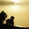 Fotografie: Subtropisches Morgengrau auf Mallorca