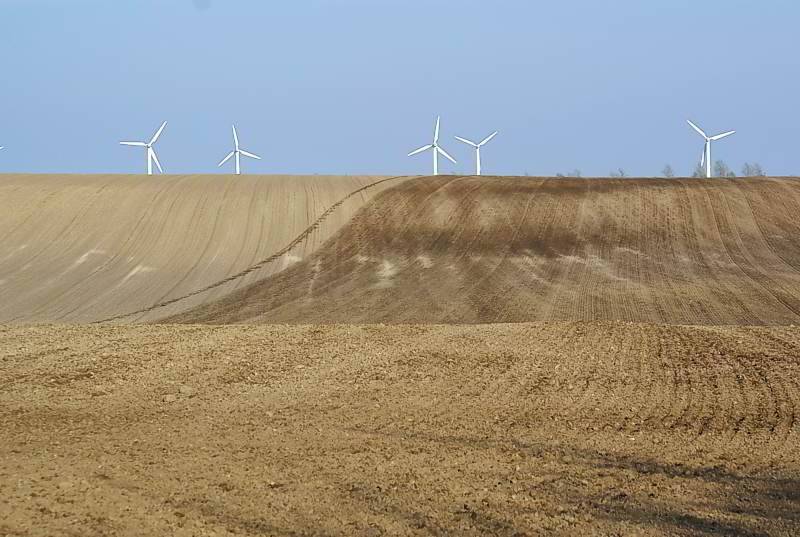 Frisch bestellter Acker auf Rügen