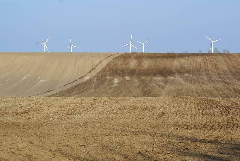 Frisch bestellter Acker auf Rügen