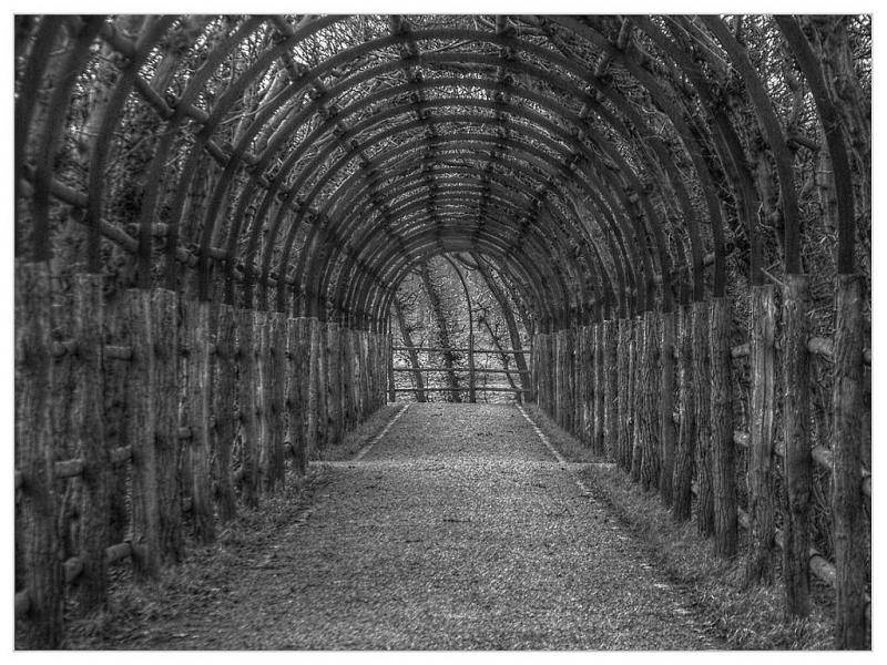 Gartenkunst in Schwerin - Laubengang