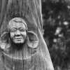 Fotografie: Zuhören - Holzskulptur an der Strandpromenade in Zinnowitz